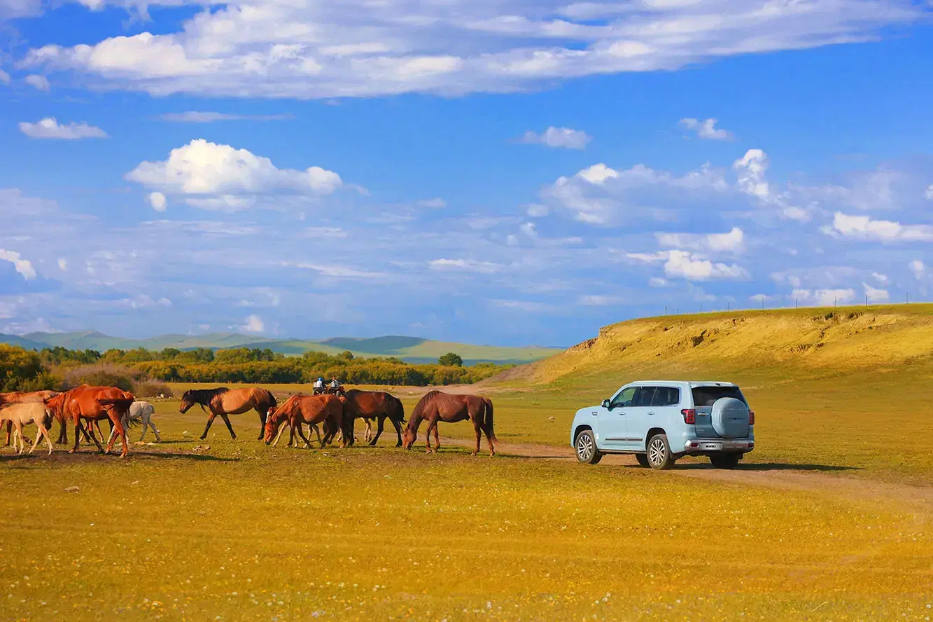 BAIC BJ60 - Imagen 2