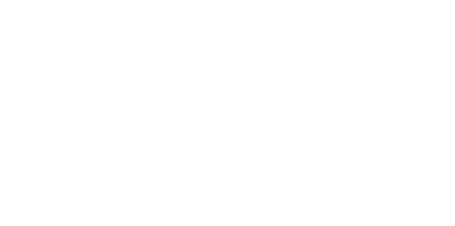 BAIC Robayna