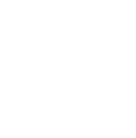 ARCFOX